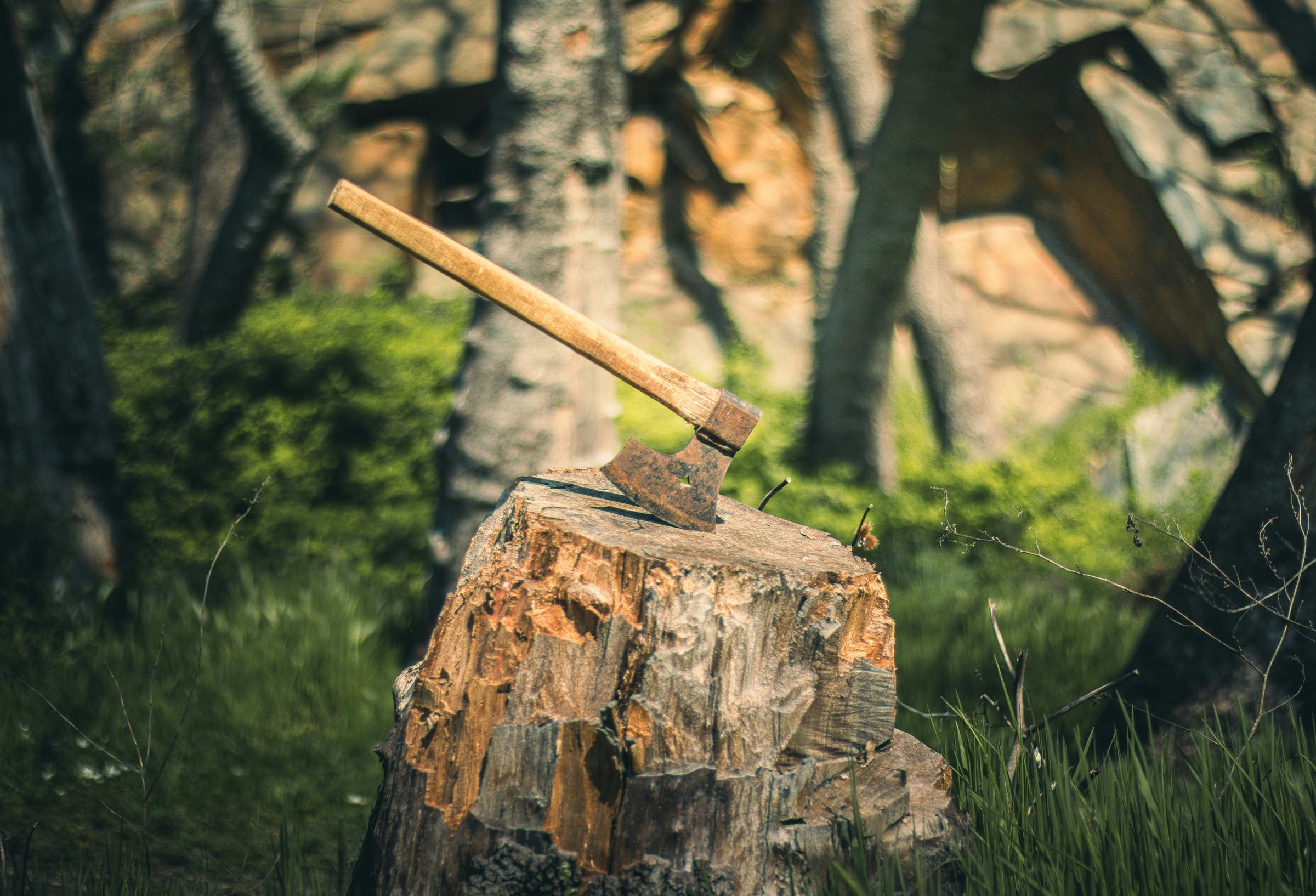 Handwerkskunst – Holzbearbeitung